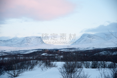 玫瑰,黄昏,白色,北博滕,自然,寒冷,瑞典,基律纳,冬天,图像