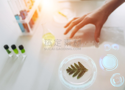 实验室,科学家,显微镜,未来,装管,科学实验,生物化学,技术,环境,绿色
