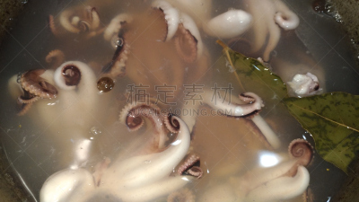 煮食,章鱼,调料,饮食,水平画幅,海产,海洋生命,东方食品,俄罗斯,月桂树叶
