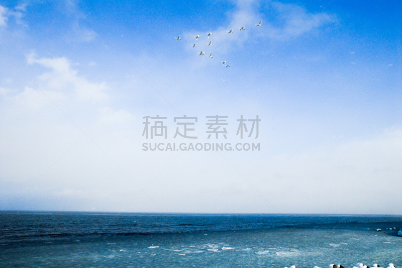 鄂霍次克海,日本,北海道,网走市,冬天,羊群,鸟编队飞行,在上面,浮冰,下雪