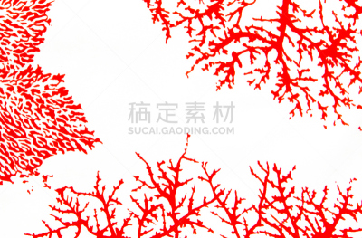 红色,珊瑚,水,美,古董,水平画幅,纺织品,无人,绘画插图