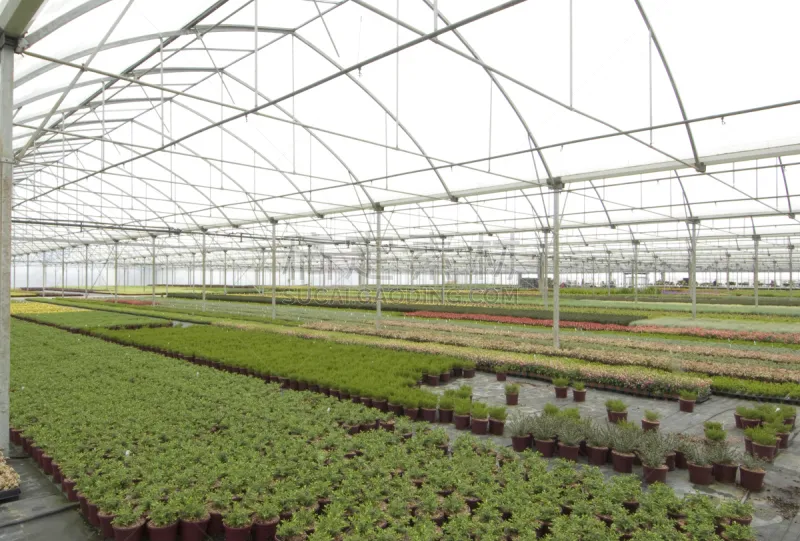 植物苗圃 温室 植物馆 自然 式样 农业建筑 成一排 水平画幅 无人 组物体图片素材下载 稿定素材 植物苗圃 温室 植物馆 自然 式样 农业建筑 成一排 水平画幅 无人 组物体图片素材下载 稿定素材