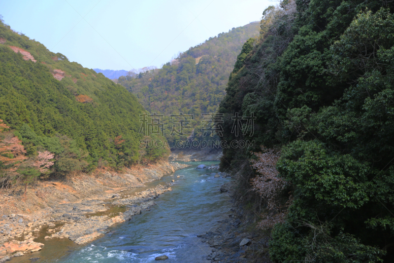 katsura,河流,岚山,自然,水平画幅,无人,日本,户外,亚洲,山谷