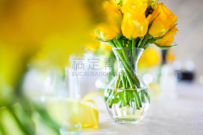 仅一朵花,桌子,郁金香,图像,花束,白色,彩色图片,人的头部,光,情人节