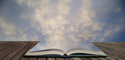 书页,冬天,书,湿地,萨默塞特,秋天,椋鸟,巨大的,湖,开着的