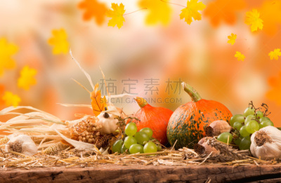 秋天,概念,水平画幅,南瓜,泥土,户外,移植手术,莴苣,铲子,盆栽