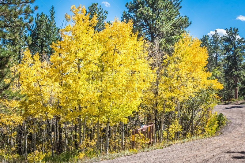 公路,风景,自然,水,洛矶山脉,美国,水平画幅,枝繁叶茂,云,秋天