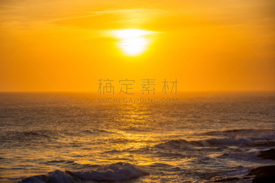 贪食南丽鱼,里约热内卢,海滩,普拉亚,家畜,非凡的,海浪,巴西,夏天,户外