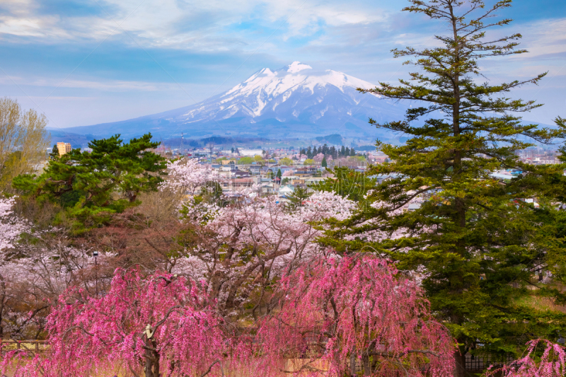 樱桃树,弘前公园,山,樱之花,磐城,池塘,福岛县,春天,3到4个月,湖