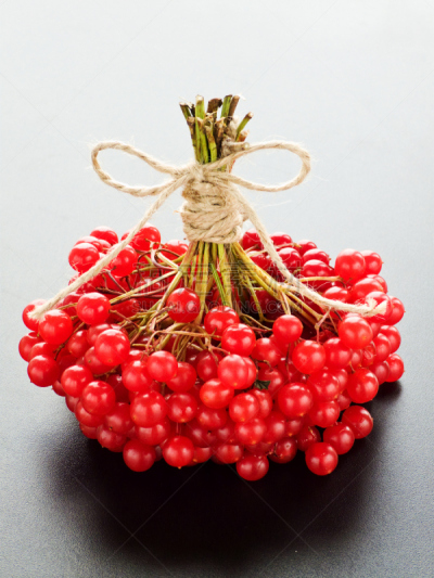 箭木,垂直画幅,无人,圣诞树,特写,花束,枝,清新,季节