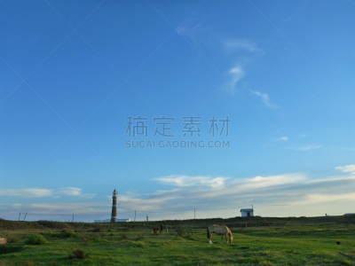 凯博波洛尼奥,乌拉圭,灯塔楼,马,罗恰,自然,南美,旅游目的地,水平画幅,绿色