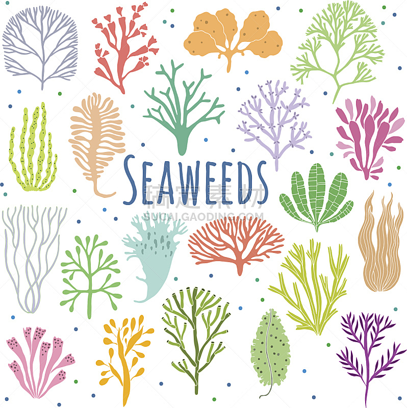 植物,珊瑚,计算机图标,海洋,手,分离着色,海草,可爱的,昆布,背景分离
