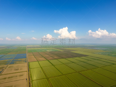 水,田地,水灾,米,栽培植物,稻田,公亩,水平画幅,无人,运河