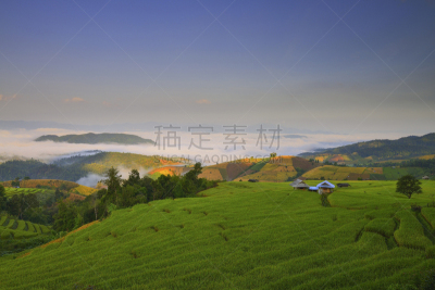 田地,可汗面具,稻,梯田,水平画幅,山,无人,户外,水稻梯田,草