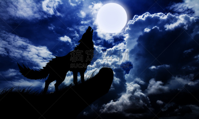 狼,哺乳纲,留白,野生动物,水平画幅,夜晚,无人,蓝色,动物,充满的