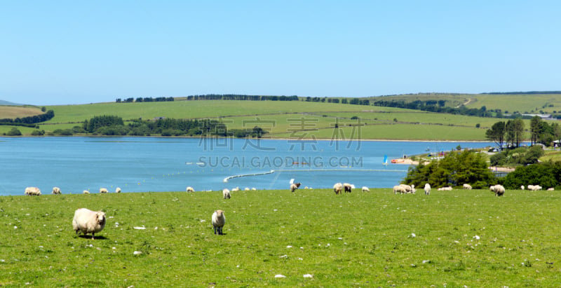 康沃尔,英格兰,湖,利斯克德.,Bodmin Moor,水,天空,停泊的,旷野,靠近