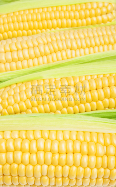 玉米,熟的,仁,自然,垂直画幅,绿色,小的,外壳,夏天,堆