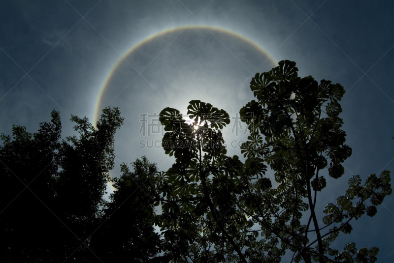 太阳,光晕,中午,天空,自然现象,圆形,水平画幅,光效果,无人,moreton bay fig