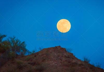 天空,夜晚,黄色,正下方视角,灌木,海洋,美,水平画幅,山,无人