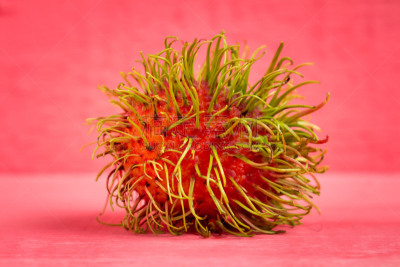 红毛丹,水果,木制,粉色,彩色图片,水平画幅,维生素,特写,泰国,甜点心