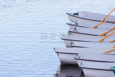 大群动物,船,白色,水,天空,度假胜地,仓库,休闲活动,水平画幅,海港
