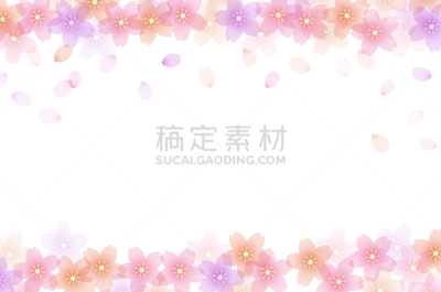 樱花,材料,背景,华丽的,纹理效果,贺卡,珊瑚色,彩色背景,边框,模板