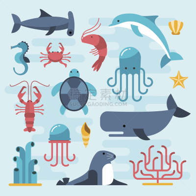 平坦的,自然美,海洋生命,水,贝壳,海马,绘画插图,海豚,水下,鲨鱼