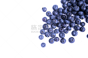 蓝莓,分离着色,视角,顶部,蓝莓植物,抗氧化物,多汁的,营养品,配方,大特写