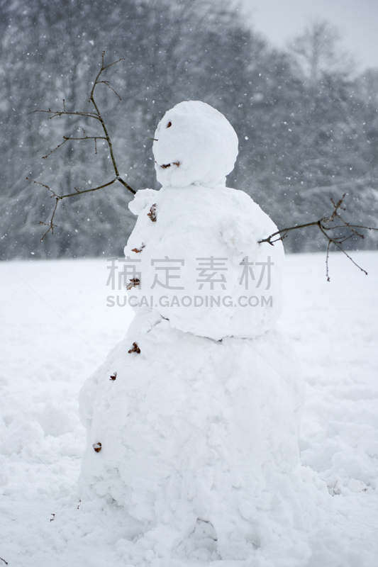 雪人,大风雪,诺撒奇岛,垂直画幅,公园,山,进行中,雪,户外,单色调