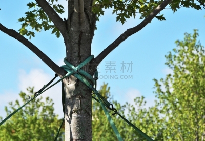 支柱,白昼,健康保健,软管,金属丝,灰色,图像,美国,无人