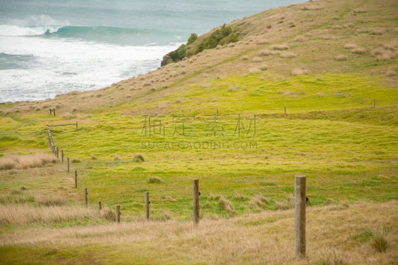 海浪,篱笆,平原,莫宁顿半岛,巴思海峡,水平画幅,无人,户外,草,草地围场