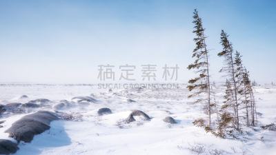 雪,丘吉尔镇,冬天,环境,地形,北方针叶林,冻原,马尼托巴湖,风,气候