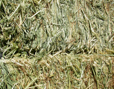 草垛,稻草,麦田圈,中裤,筒仓,麦茬,干草卷,天空,干草,夏天