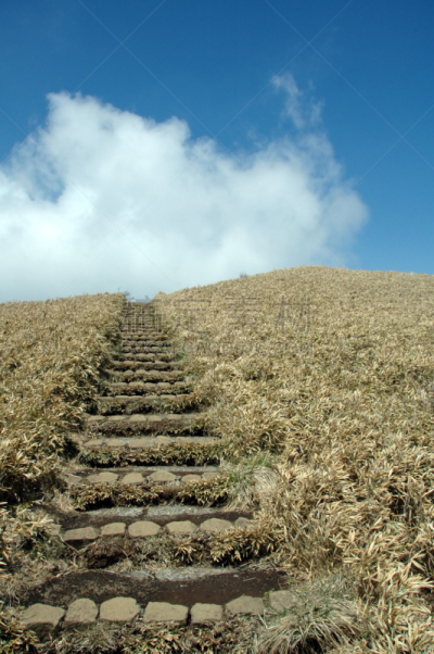 天堂,楼梯,箱根湿地植物园,箱根园,富士箱根伊豆国立公园,地形图,垂直画幅,天空,里山,干的