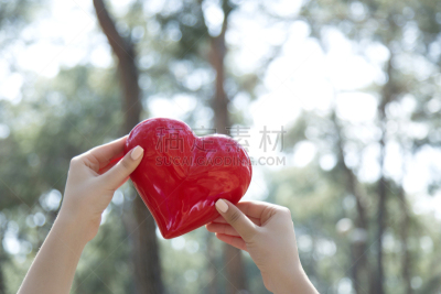 手,心型,拿着,红色,女人,春药,前臂,拇指,选择对焦,留白