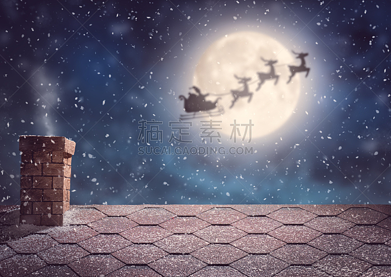 圣诞老人,动物雪车,天空,水平画幅,夜晚,雪,月亮,时间,白人
