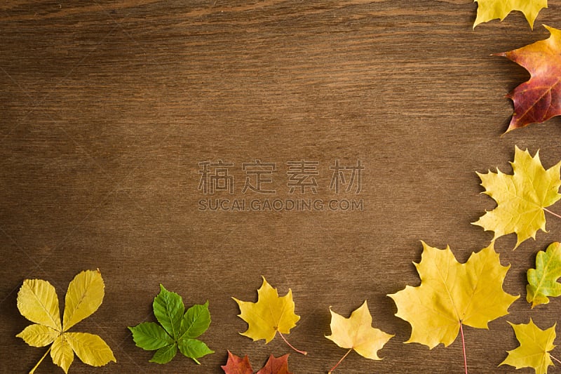 贺卡,想法,秋天,明信片,空的,叶子,季节,文字,节日,布置