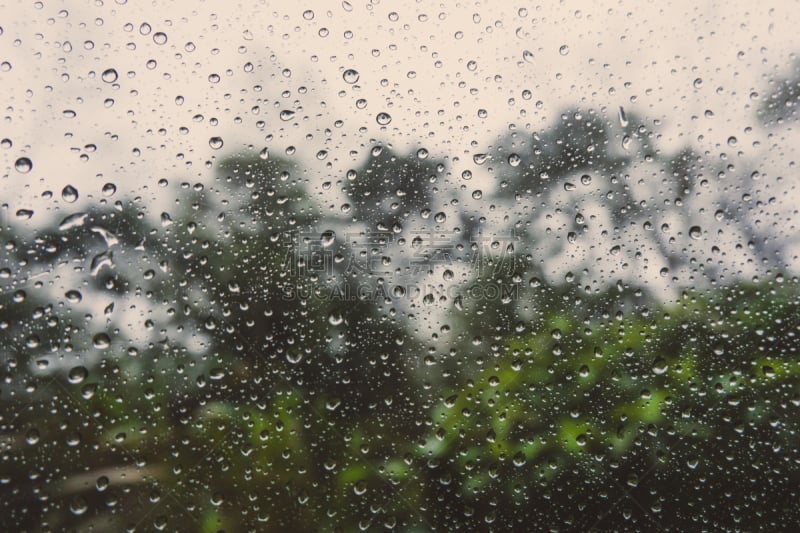 草,雨滴,汽车,森林,背景,天空,暴风雨,水平画幅,云,无人