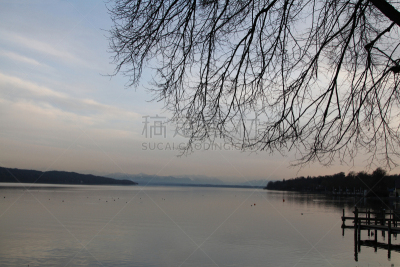 施塔恩贝格湖,楚格峰,自然,水平画幅,无人,欧洲,户外,湖,水禽,摄影