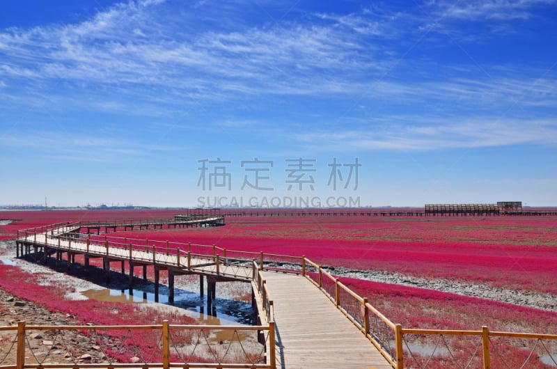 盘锦红海滩风景区,美,风,水平画幅,沙子,无人,辽宁省,户外,草,海滩