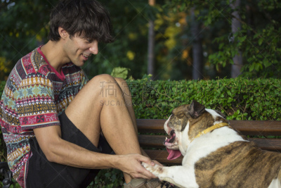业主,斗牛犬,长椅,特写,英格兰斗牛犬,自然,水平画幅,人,夏天,户外