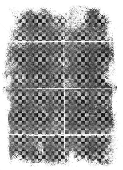 纹理,垂直画幅,美术效果,捷克,水墨画,2015年,笔形海胆,刷状缘,摄影