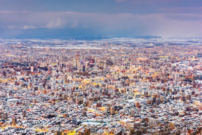 札幌,日本,城市天际线,冬天,商务,寒冷,千岁,曙暮光,黄昏,雪