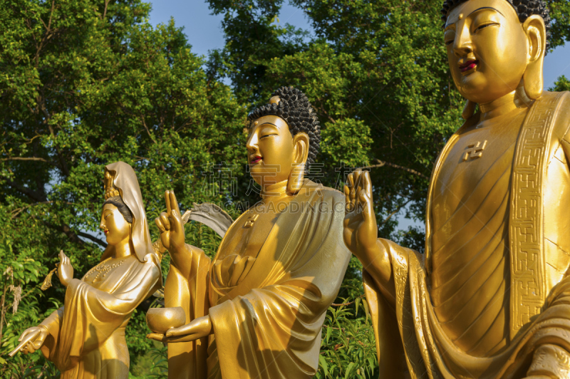 佛,万佛寺,沙田,道教,禅宗,灵性,水平画幅,当地著名景点,东亚