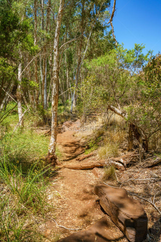 西澳大利亚,dales gorge,徒步旅行,橙色,壁纸,草,巨石,小路,红岩石,沙漠