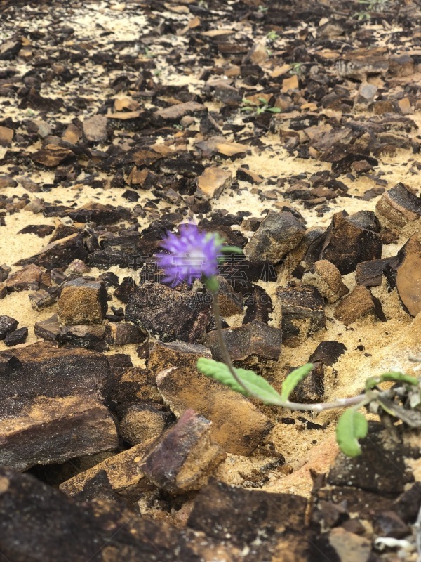 Foto tirada em uma praia de João Pessoa