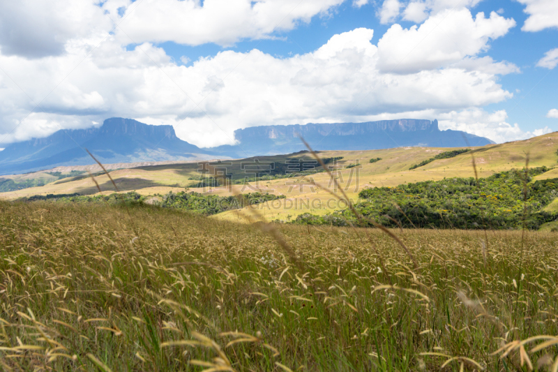 罗赖马山,罗赖马州,平顶山,平顶山区,canaima,委内瑞拉,南美,水平画幅,无人,户外