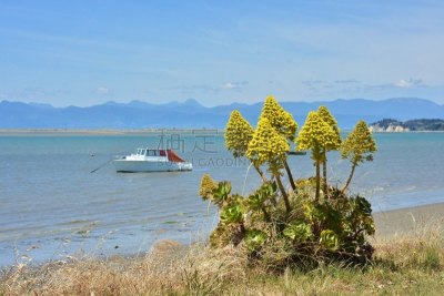 海岸线,海湾,水,天空,风,水平画幅,山,无人,澳大拉西亚