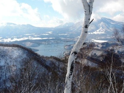 阿尔卑斯山脉,五只动物,周末活动,旅途,雪山,雪,自然美,湖,户外活动,自然现象