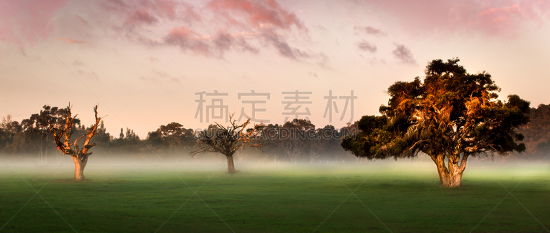 长春花属,春天,西澳大利亚,水平画幅,地形,无人,全景,早晨,户外,云景